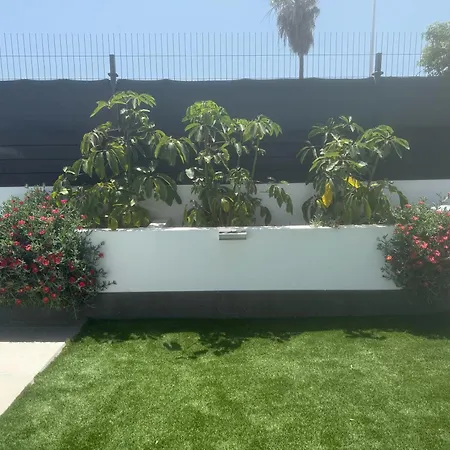 Casa Elliala Tenerife, Stunning With Secluded Pool Area And Close To Amenities * 圣米格尔德阿沃纳